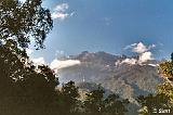 Cd3_008_5a_Kinabalu_Top_VT.jpg